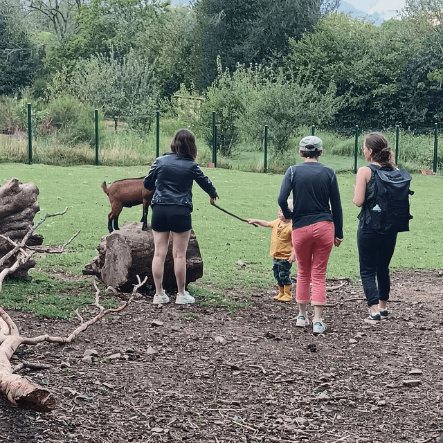 anniversaire à la ferme