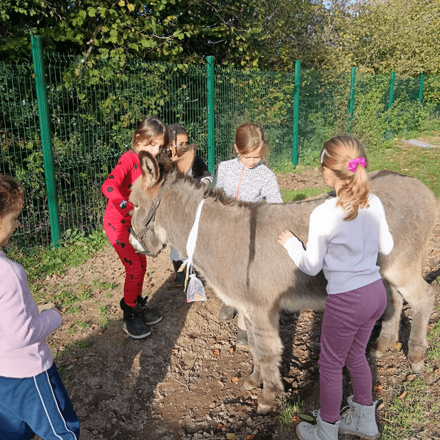 anniversaire à la ferme