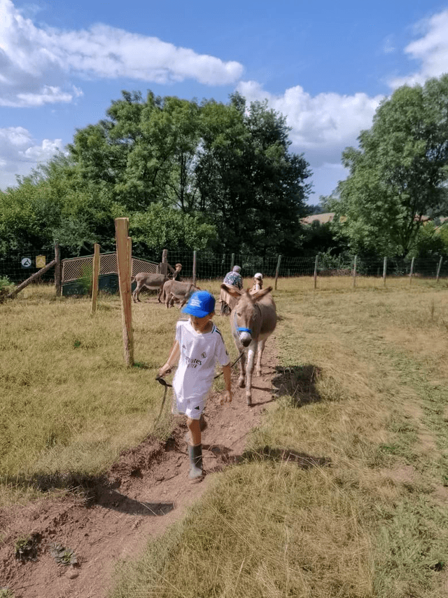 visite des animaux et landart