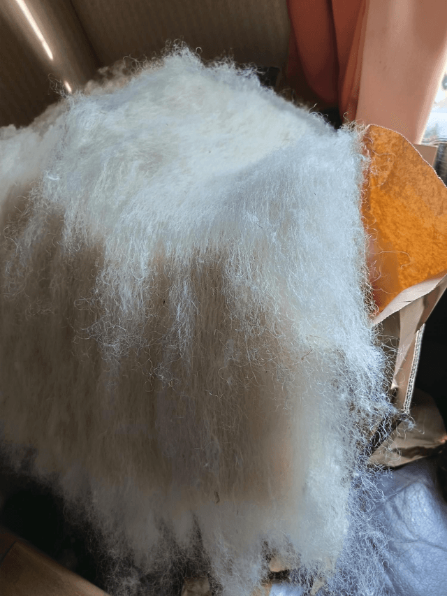 Laine cardée blanche naturelle