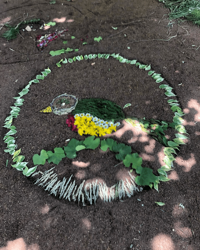visite des animaux et landart