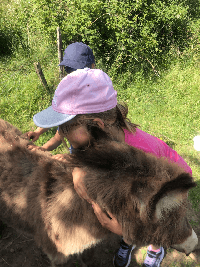 anniversaire à la ferme